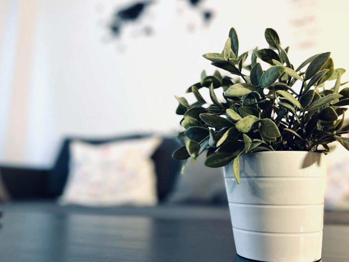 Apartamento Pintor Palomino Kordoba Zewnętrze zdjęcie